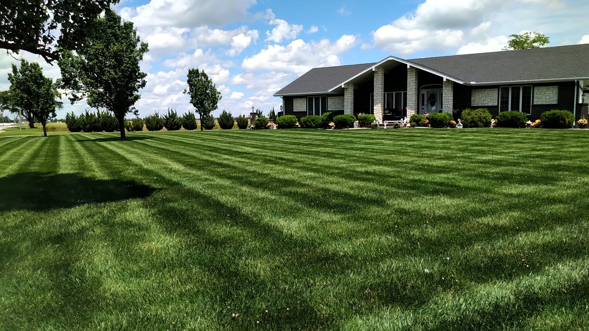Lush green lawn after fertilizer program